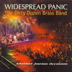 Another Joyous Occasion (Live) - Widespread Panic