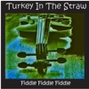 Turkey In the Straw and Other Country Fiddle Hits