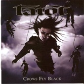 Crows Fly Black