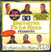 30 Bachatas pa' la Raza 2008