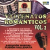 15 Pistas Para Cantar Vallenatos Romanticos: Fusion Vallenata, 2007