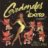 Cardenales del Exito - Viejos No Más