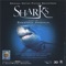 Silvertip Sharks artwork