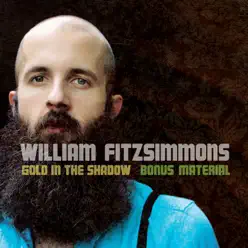 Gold In the Shadow (Bonus Material) - William Fitzsimmons