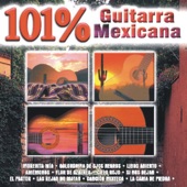 101 Guitarra Mexicana artwork