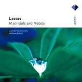 Lassus: Madrigals & Motets artwork