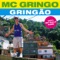 Alemao - MC Gringo lyrics