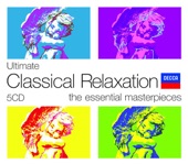 Ultimate Classical Relaxation
