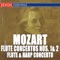 Flute Concerto No. 2 In D Major, KV. 314: I. Allegro Aperto artwork