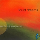 Liquid Dreams artwork