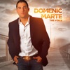 Domenic Marte - Después de Ti No Hay Nada