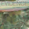 Evidence album lyrics, reviews, download