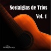 Los Tres Pasos - El Andariego