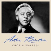 Chopin Waltz artwork