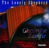 Gheorghe Zamfir & James Last - The Lonely Shepherd