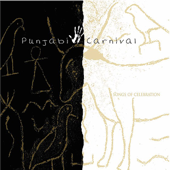 Punjabi Carnival - Various Artists