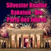 Silvester Knaller Raketen - Die Party des Jahres, 2013