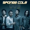 Sponge Cola