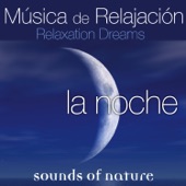 Relaxing Dreams, Música de Relajación artwork