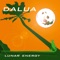 Spindler Dreams / Asa Branca - Dalua lyrics