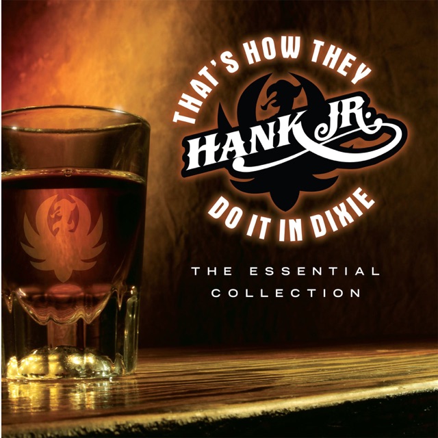 Hank Williams, Jr. That's How They Do It In Dixie - The Essential Collection Album Cover