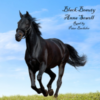 Anna Sewell - Black Beauty (Unabridged) artwork