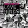 Lovebirds - Single album lyrics, reviews, download