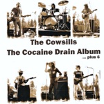 The Cowsills - Cocaine Drain
