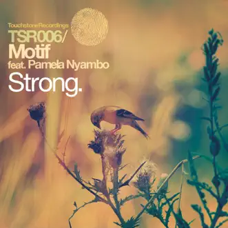 Strong by Motif song reviws