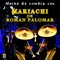 Baile De Los Pajaritos - Mariachi de Roman Palomar lyrics