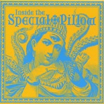 Inside the Special Pillow