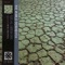 Distant Embers - Social Interiors lyrics