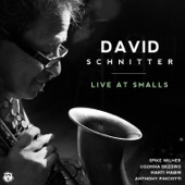 David Schnitter (feat. Anthony Pinciotti, Marti Mabin, Ugonna Okegwo & Spike Wilner) [Live At Smalls] artwork