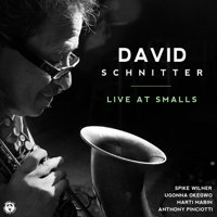 David Schnitter - David Schnitter (feat. Anthony Pinciotti, Marti Mabin, Ugonna Okegwo & Spike Wilner) [Live At Smalls] artwork