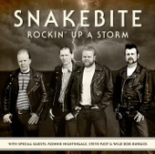 Rockin' up a Storm - Snakebite