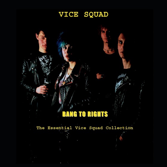 Cover artwork for We Came We Saw