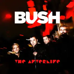The Afterlife - Single - Bush The Afterlife - Single - Bush