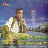 לילה מלילות artwork