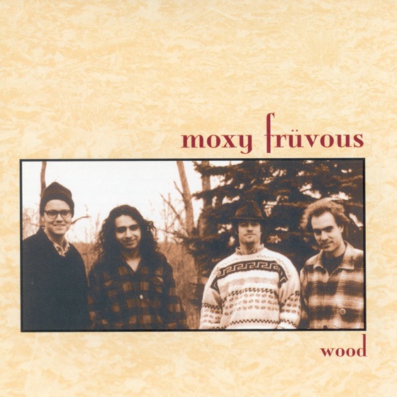 Cover artwork for Fly