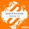 Needing You - Sjoerd Korsuize lyrics