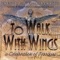 To Walk With Wings - US Air Force Band of the Rockies lyrics