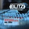 Do You (Adam Dmize Dub Remix ) - Shane Blitz lyrics