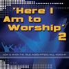 Here I Am To Worship, Vol. 2, 2004