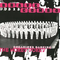 The Hokey Pokey-Organized Dancing - Brave Combo