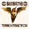 Timestretch - Bassnectar lyrics