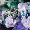 HealingMusicTherapy - Largo Maestoso