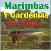 Marimbas y Gardenias de Chiapas, 2012
