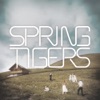 Spring Tigers - EP artwork