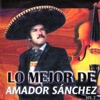 Lo Mejor de Amador Sánchez, Vol. 2, 2012