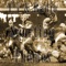Goodwood Galop - The Queen's Hall Light Orchestra lyrics